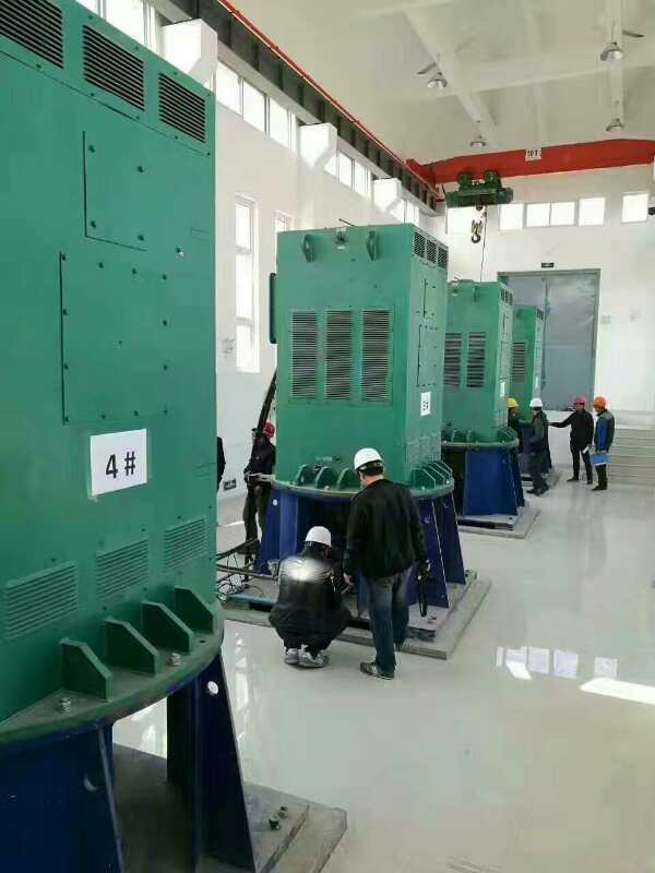 阳江镇某污水处理厂使用我厂的立式高压电机安装现场