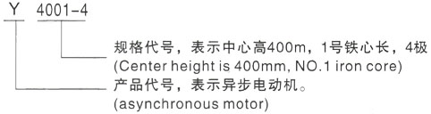 西安泰富西玛Y系列(H355-1000)高压阳江镇三相异步电机型号说明
